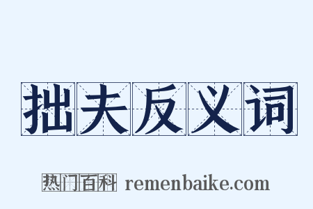 拙夫反义词是什么意思的图片
